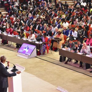 Africa Health Agenda International Conference (AHAIC)